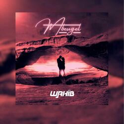 Cover of Mbeugel