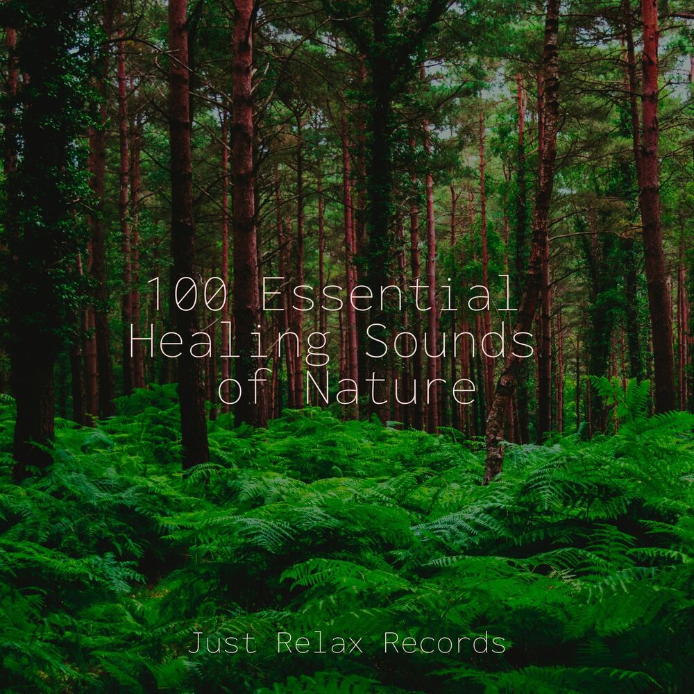 Picture of 100 Essential Healing Sounds of Nature