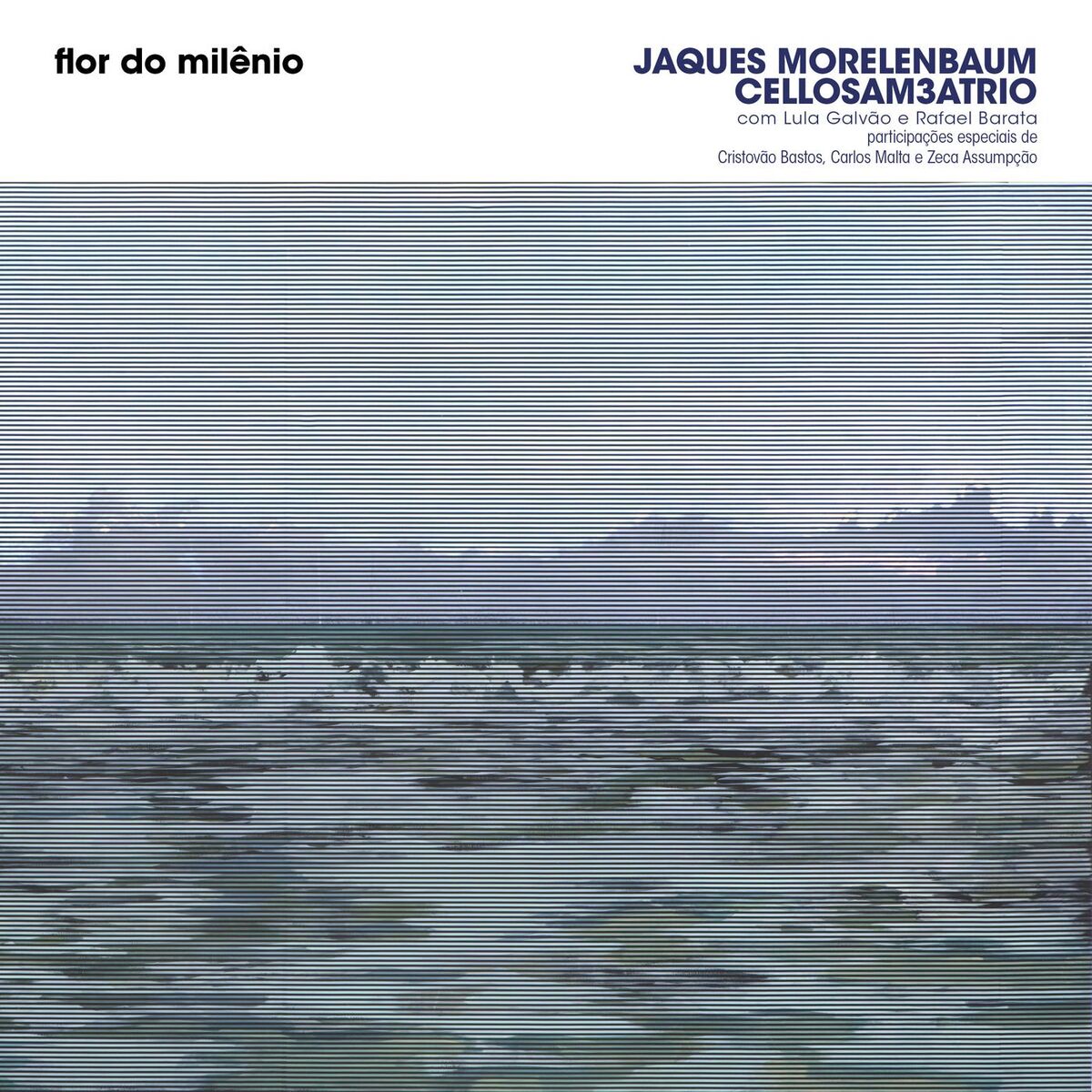 Album cover of flor do milênio