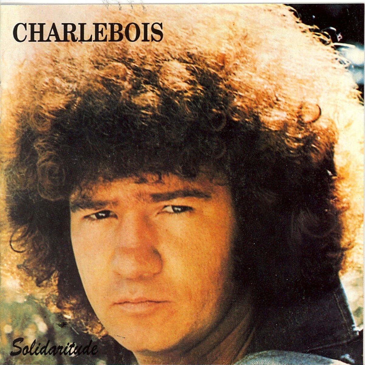 Album cover of Solidaritude