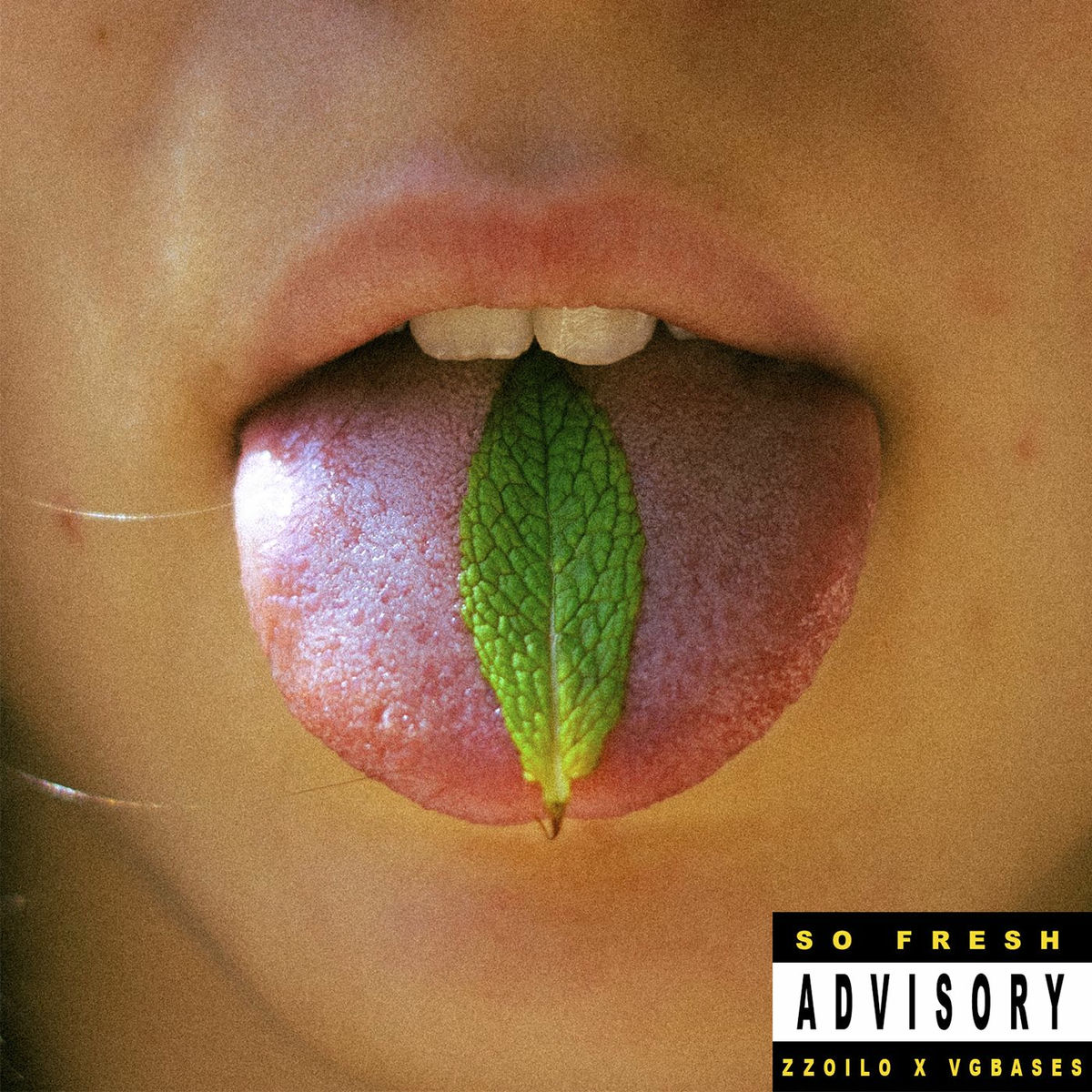 Album cover of Menta