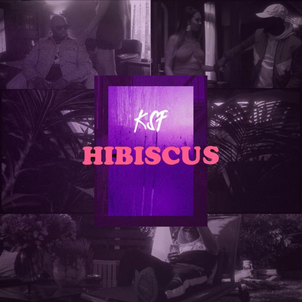 Picture of Hibiscus