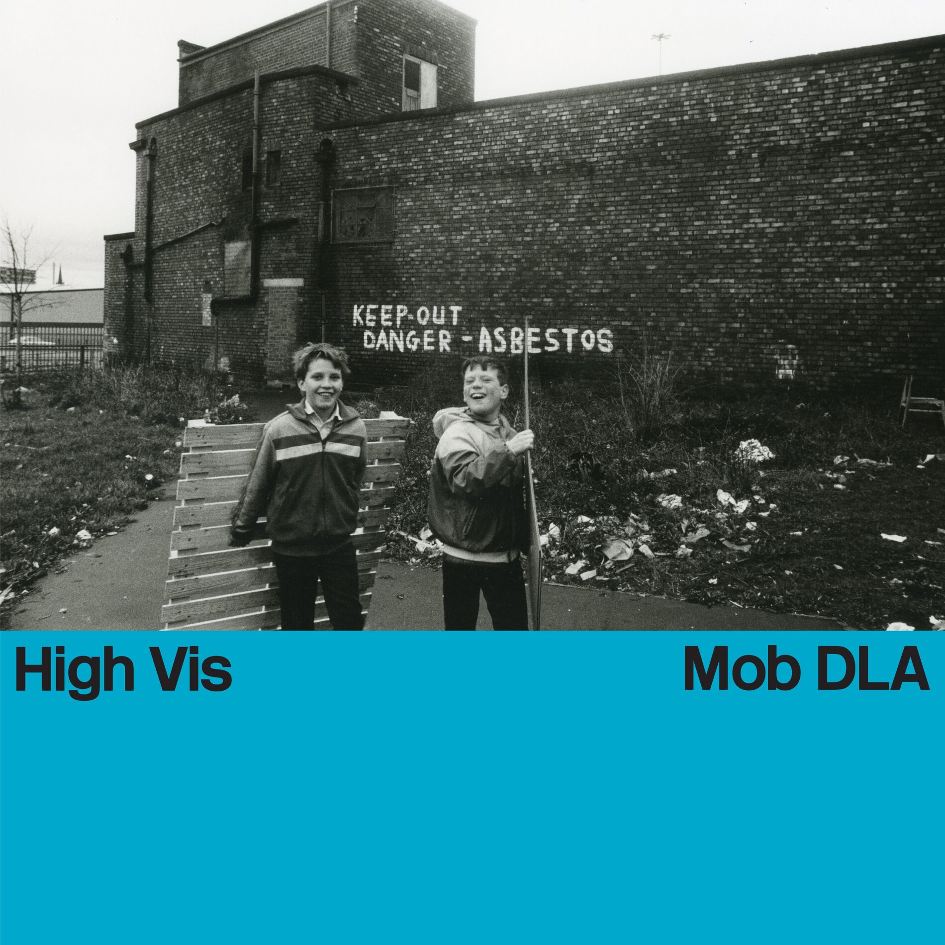 Album cover of Mob DLA