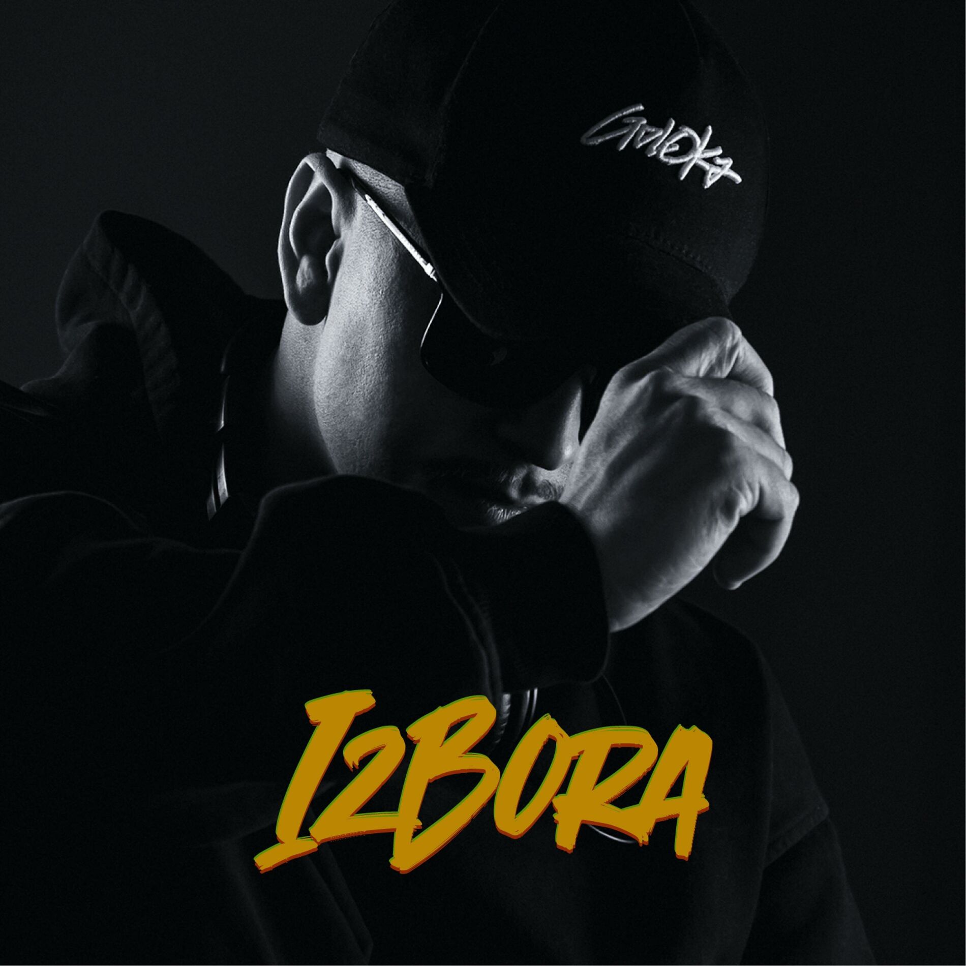 Album cover of Izbora