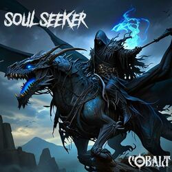 Cover of SOUL SEEKER