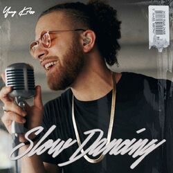 Cover of Slow Dancing