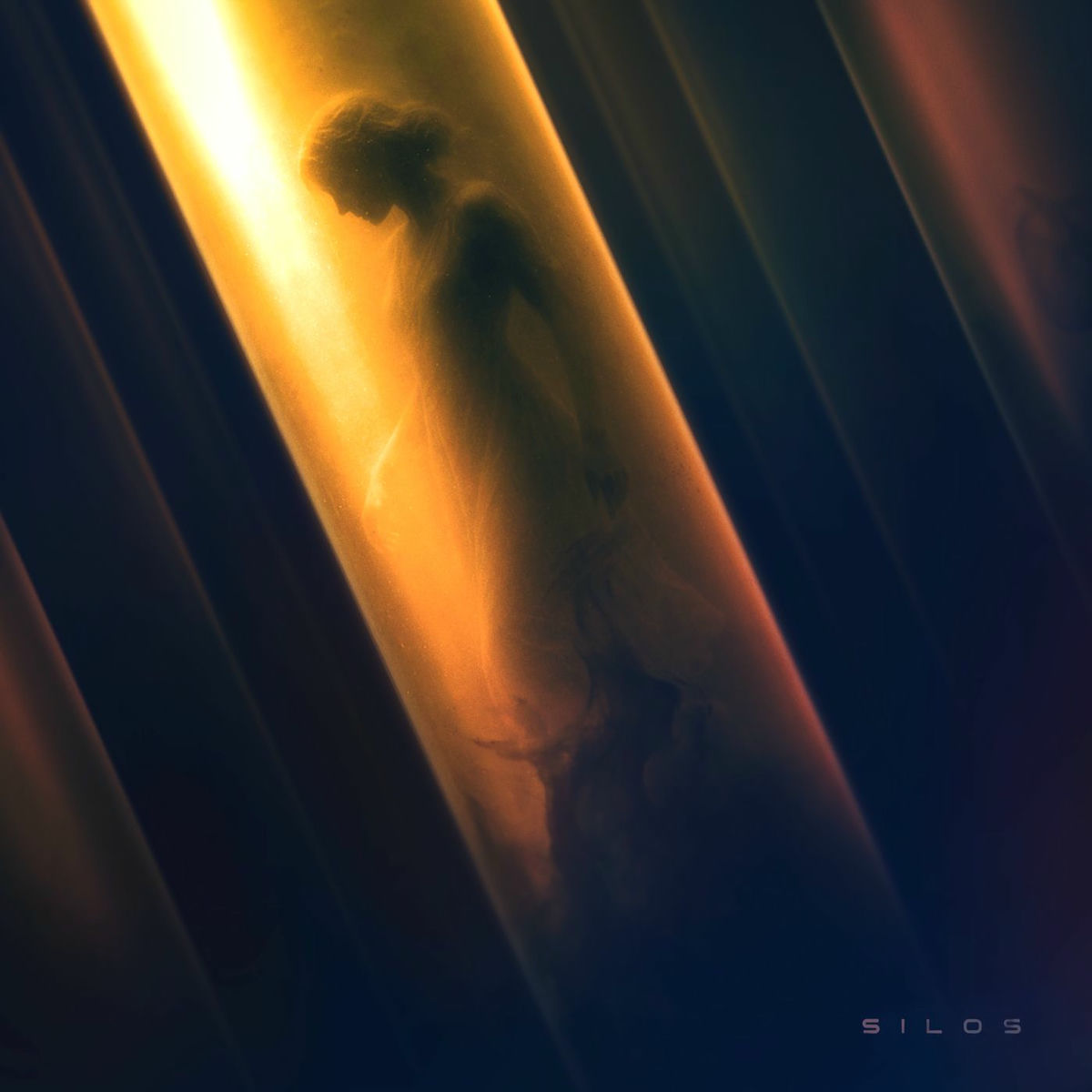 Album cover of SILOS