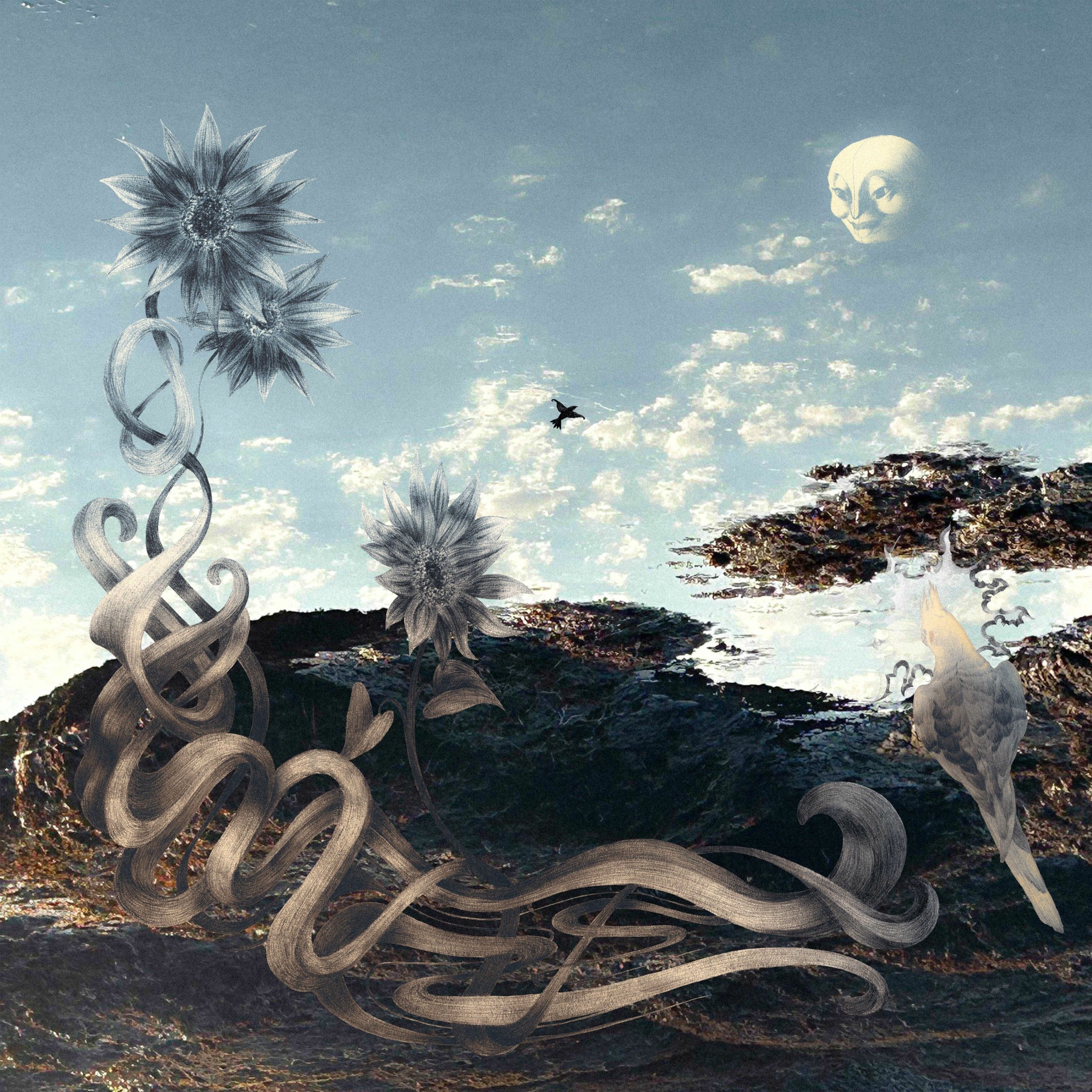 Album cover of Light Dancer