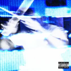 Cover of X-Rated