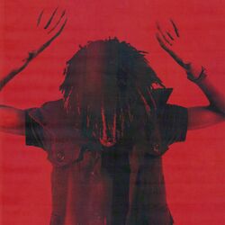 Cover of Disturbing The Peace