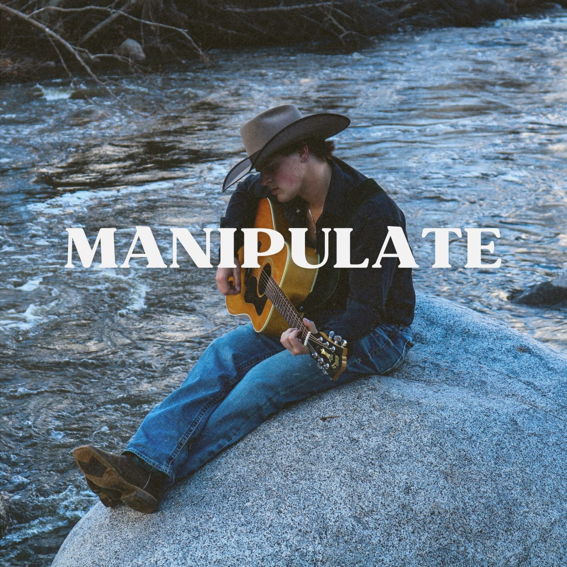 Album cover of Manipulate