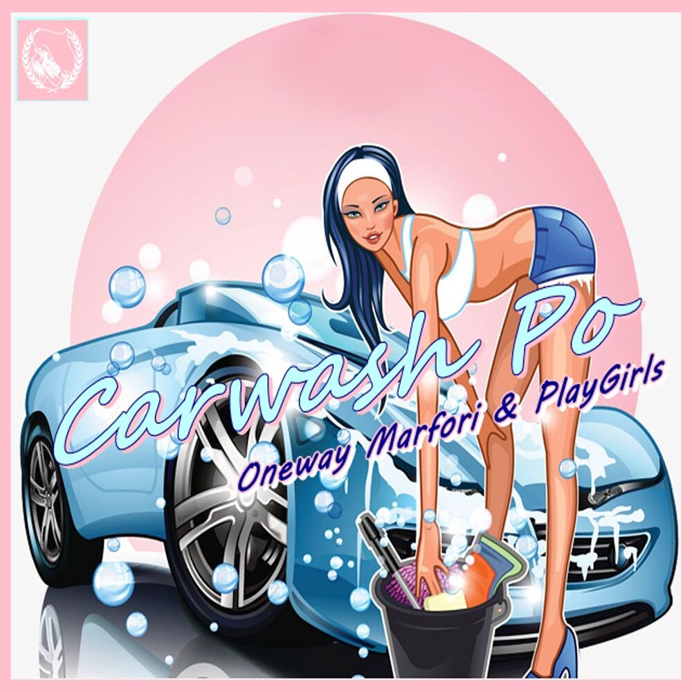 Picture of Carwash Po