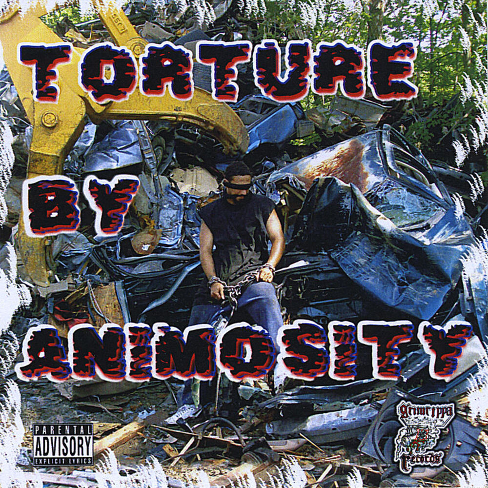Picture of Torture By Animosity