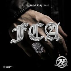 music cover
