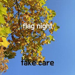 Cover of flag night