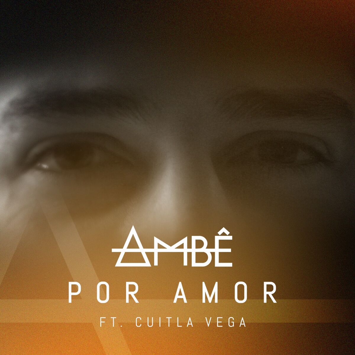 Album cover of Por Amor