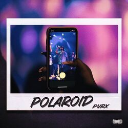 Cover of Polaroid