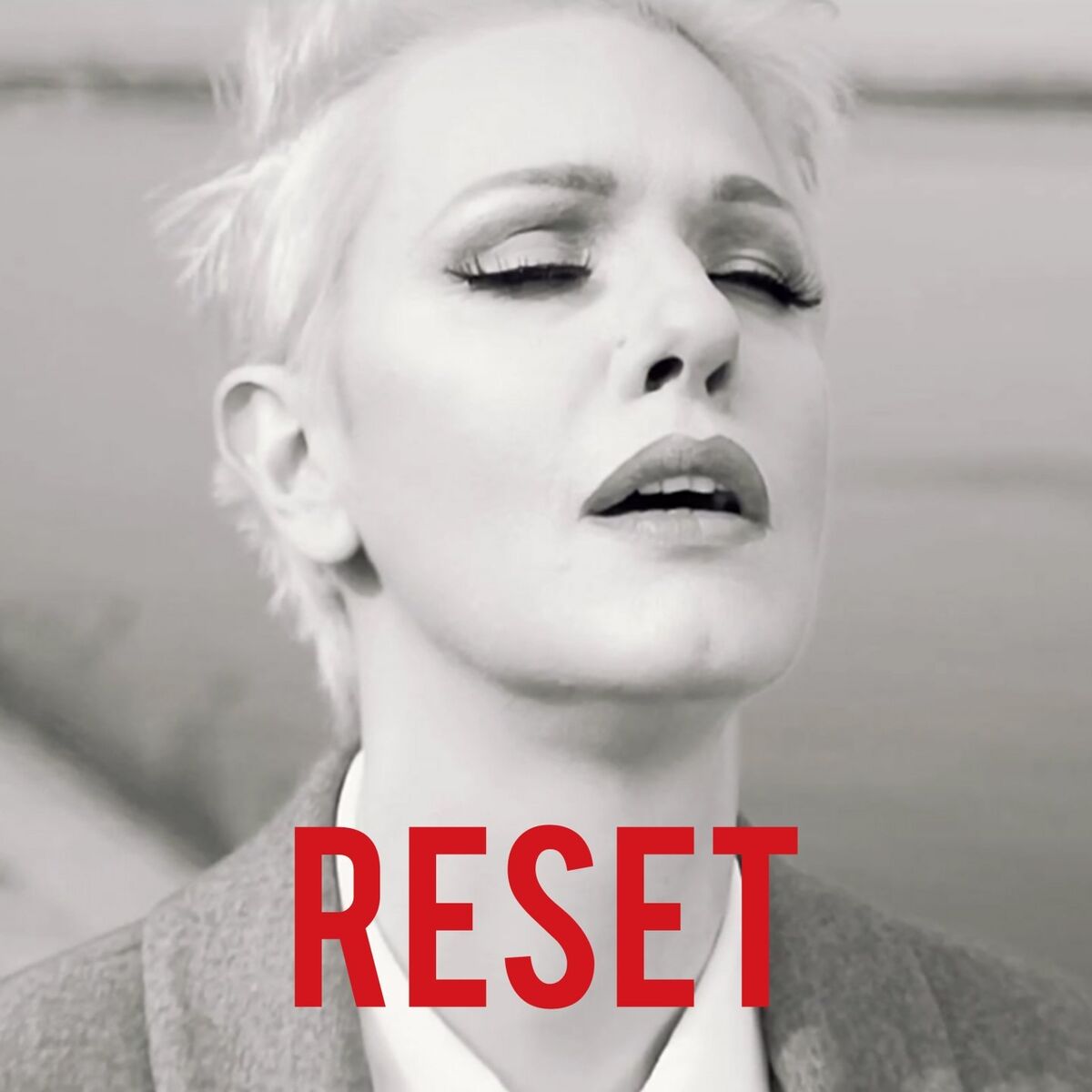 Album cover of Reset