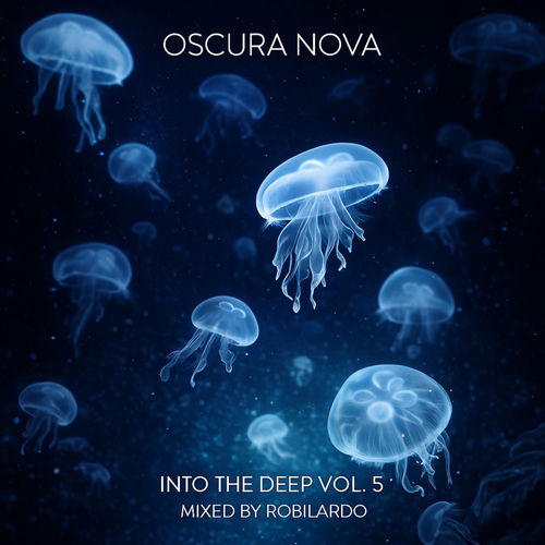 Into The Deep Vol. 5 (Mixed by Robilardo)