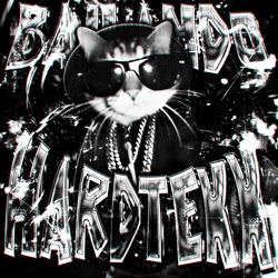BAILANDO HARDTEKK