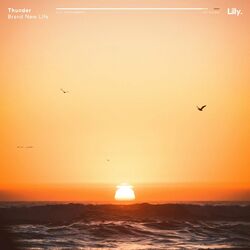 music cover