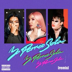 Cover of Yo Perreo Sola (Remix)