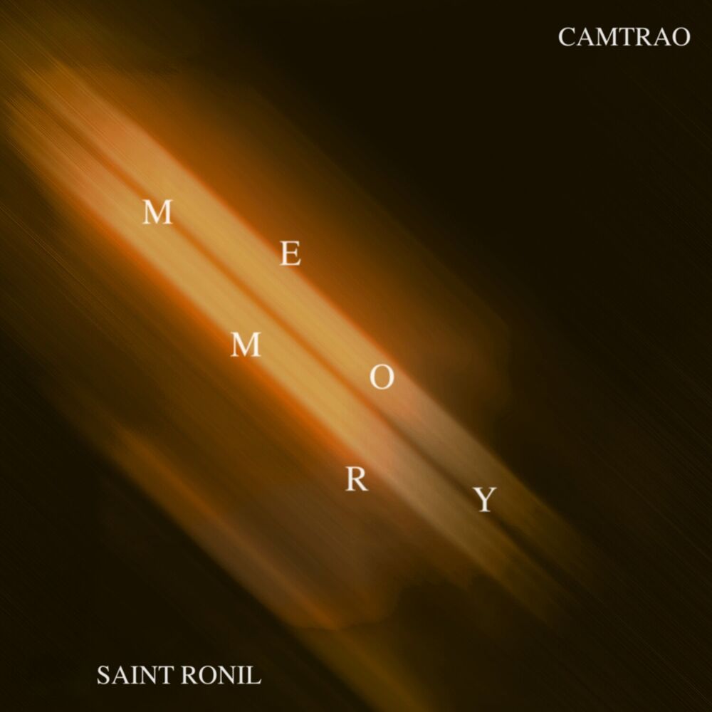 Picture of Memory