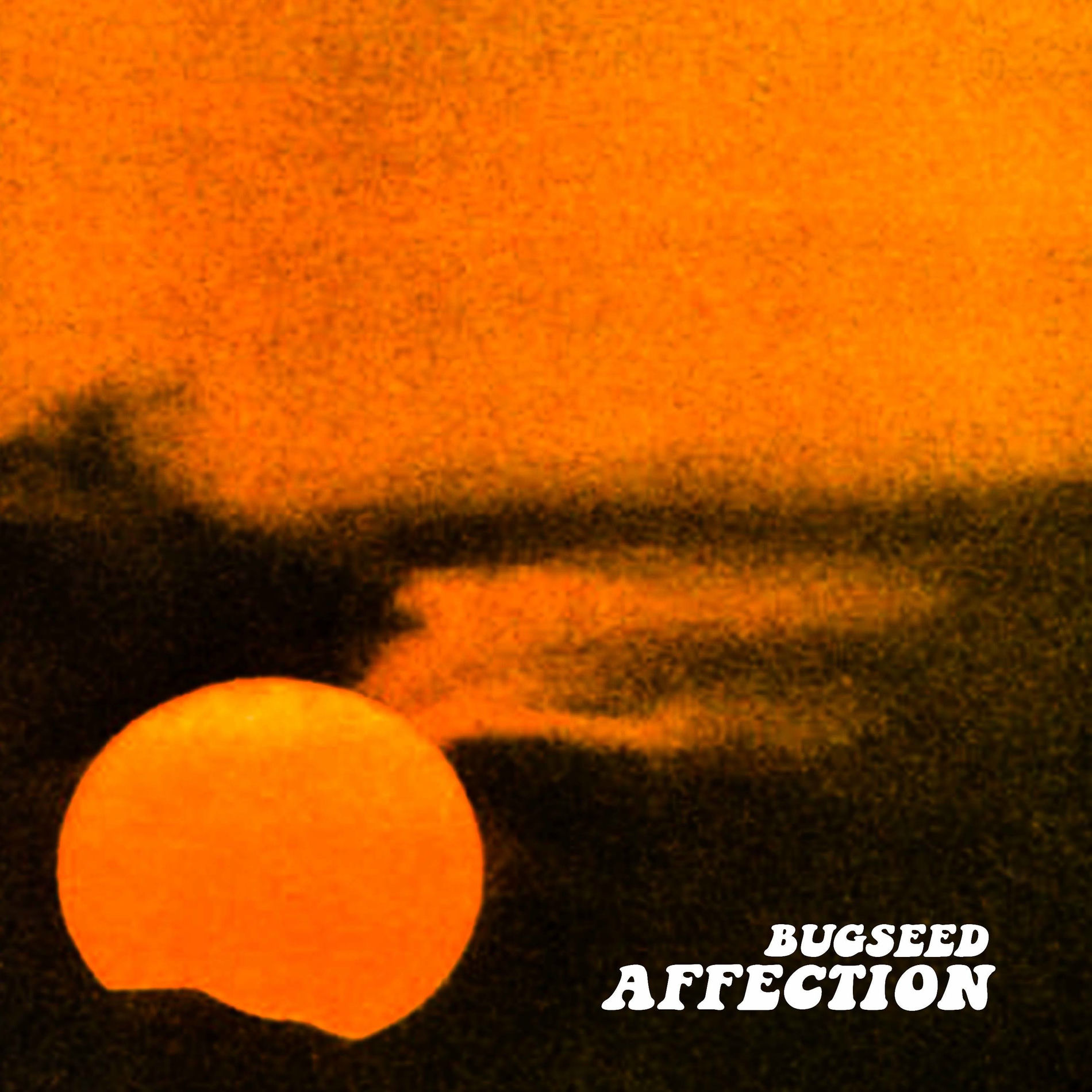Album cover of Affection