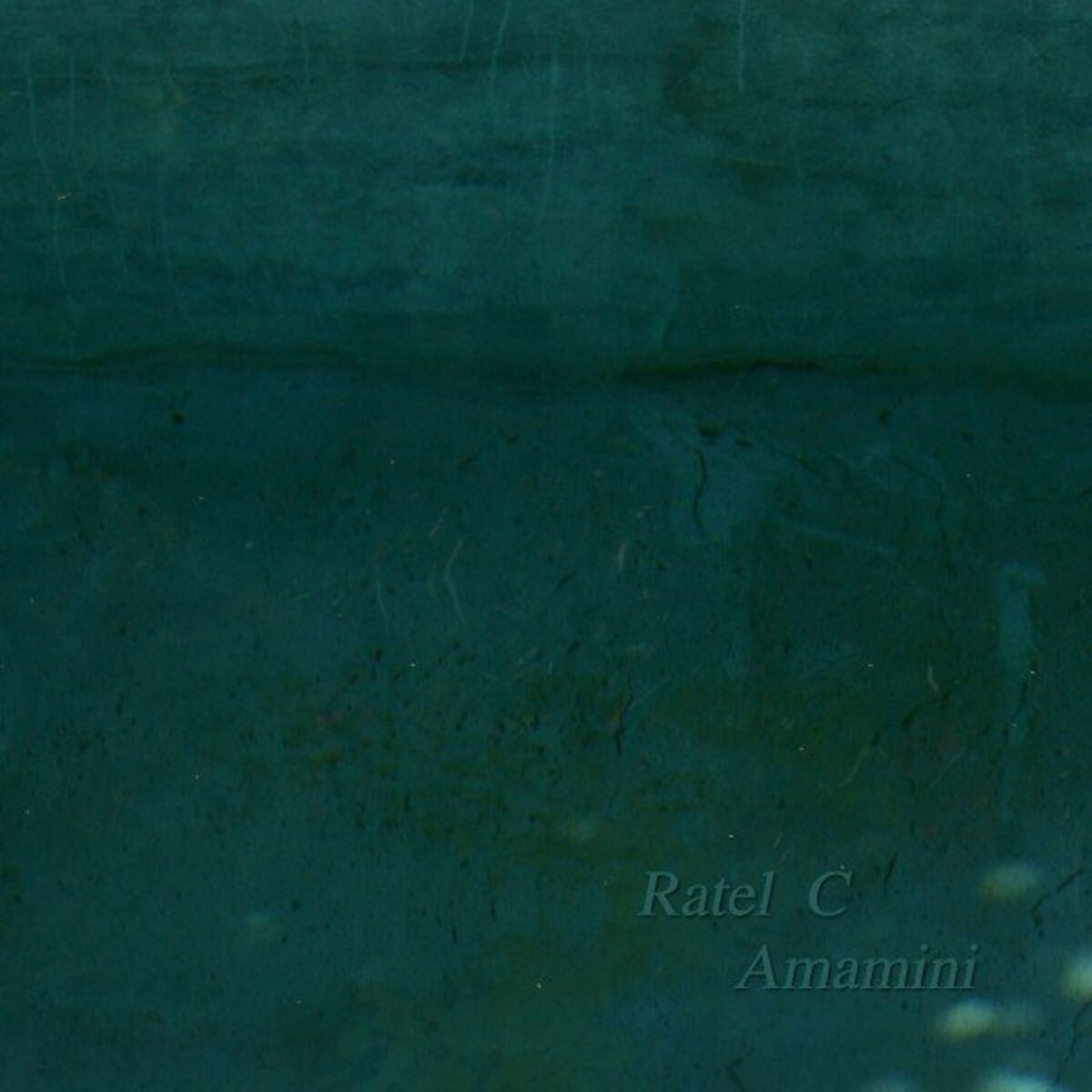 Album cover of Amamini