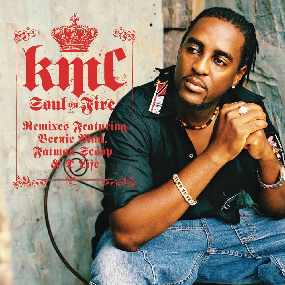 Picture of Soul On Fire (Fatman Scoop Mixes)