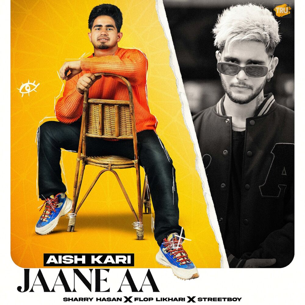 Picture of Aish Kari Jaane Aa