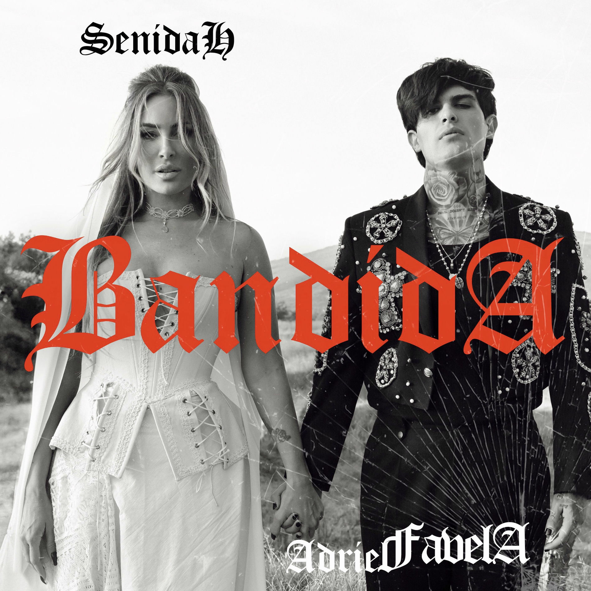 Album cover of Bandida