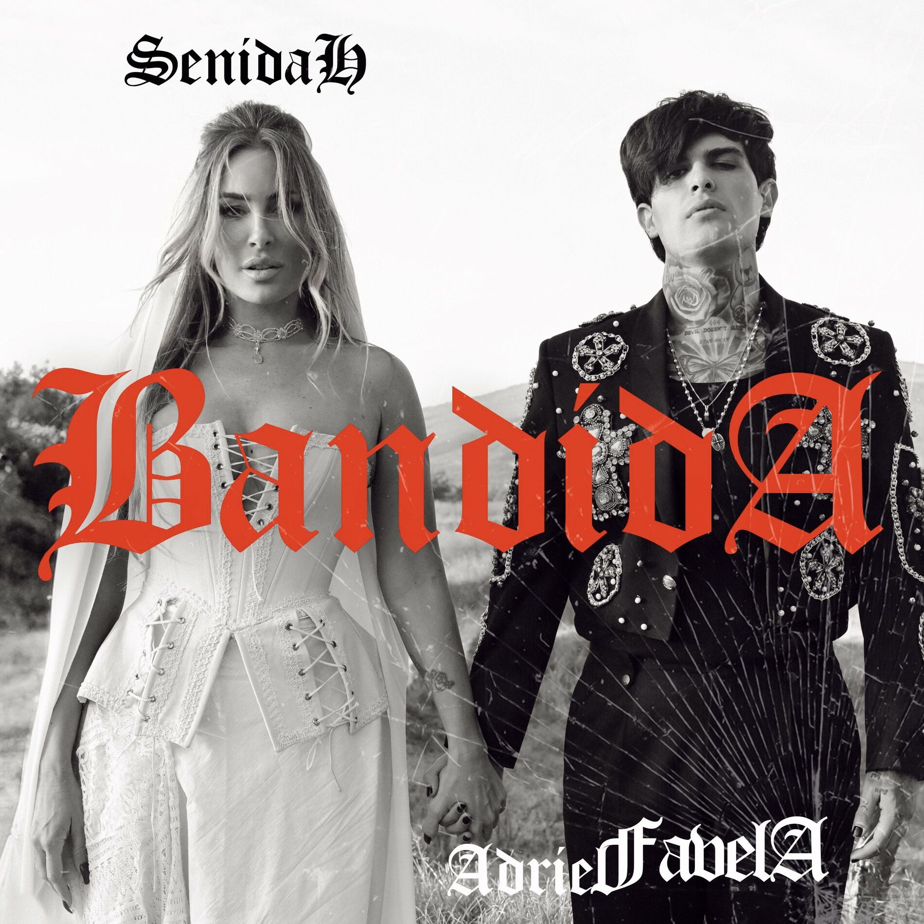 Album cover of Bandida