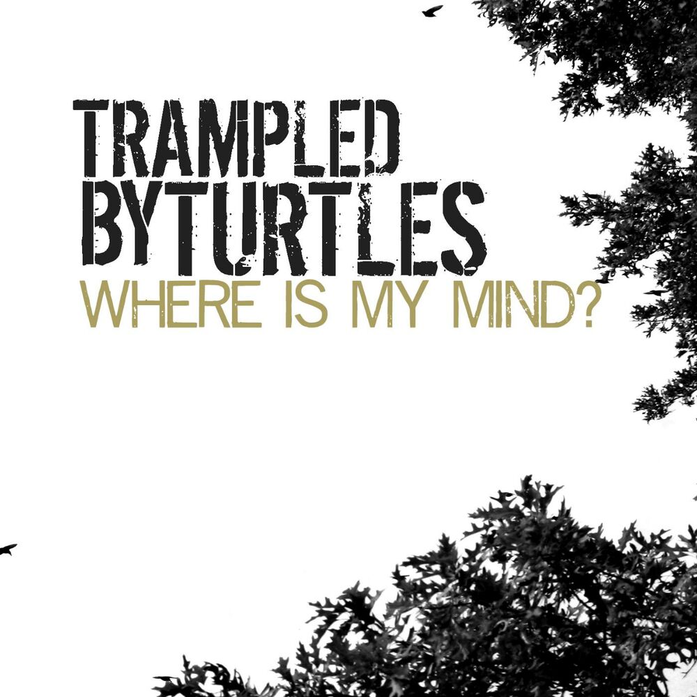Picture of Where Is My Mind?