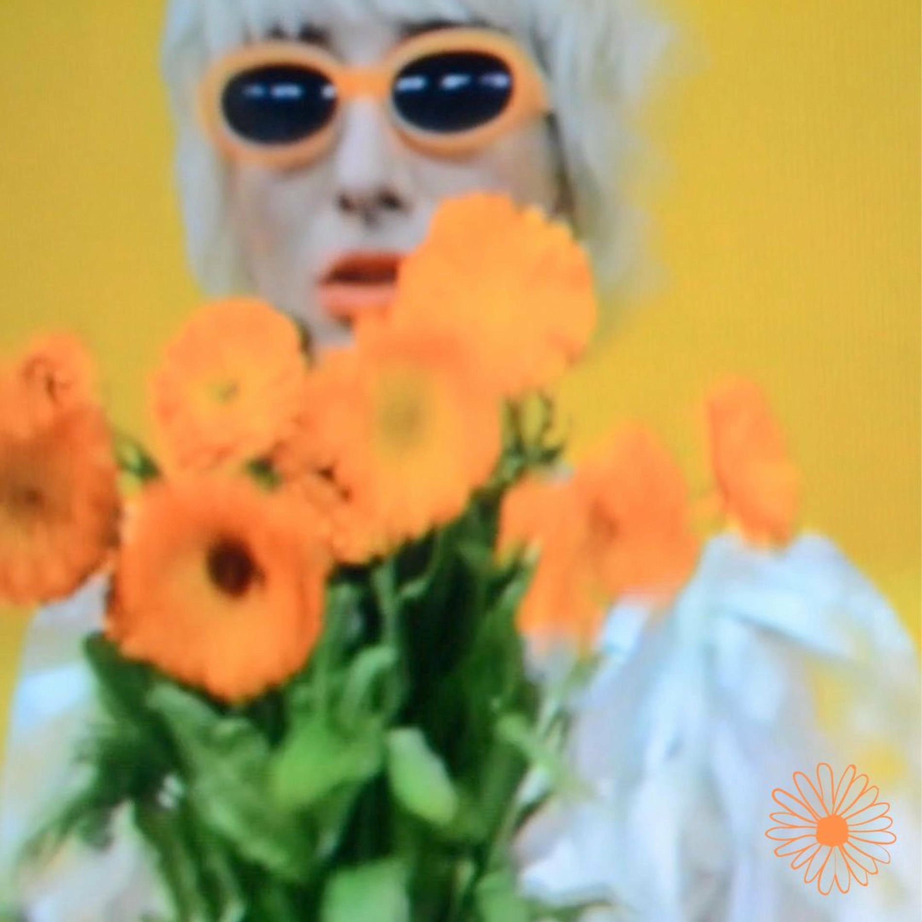 Album cover of Poolday