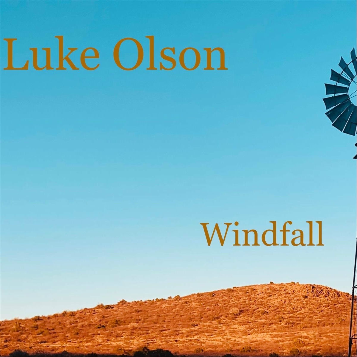 Album cover of Windfall