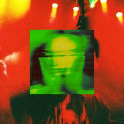 Cover of SINS
