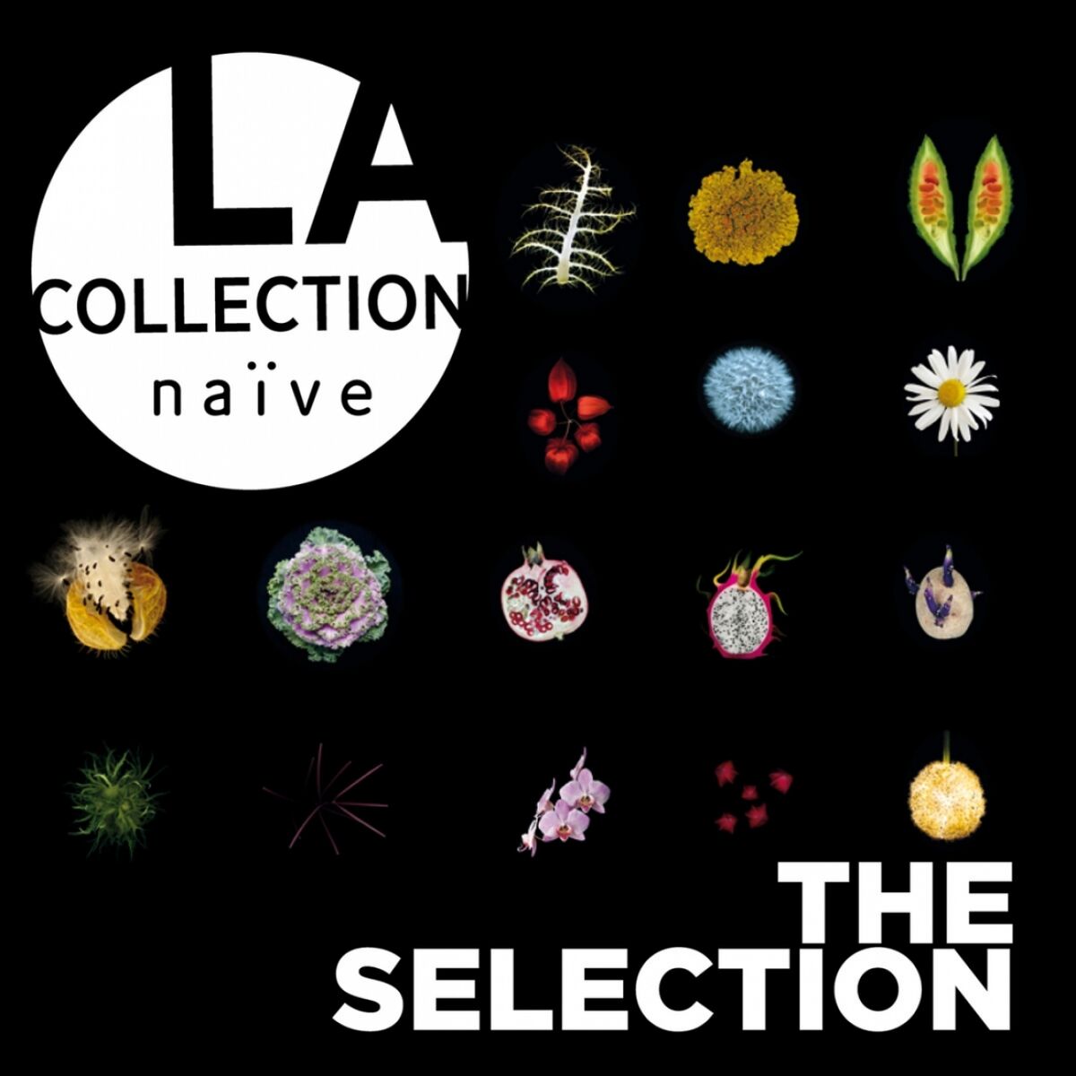 Album cover of La collection naïve: The Selection