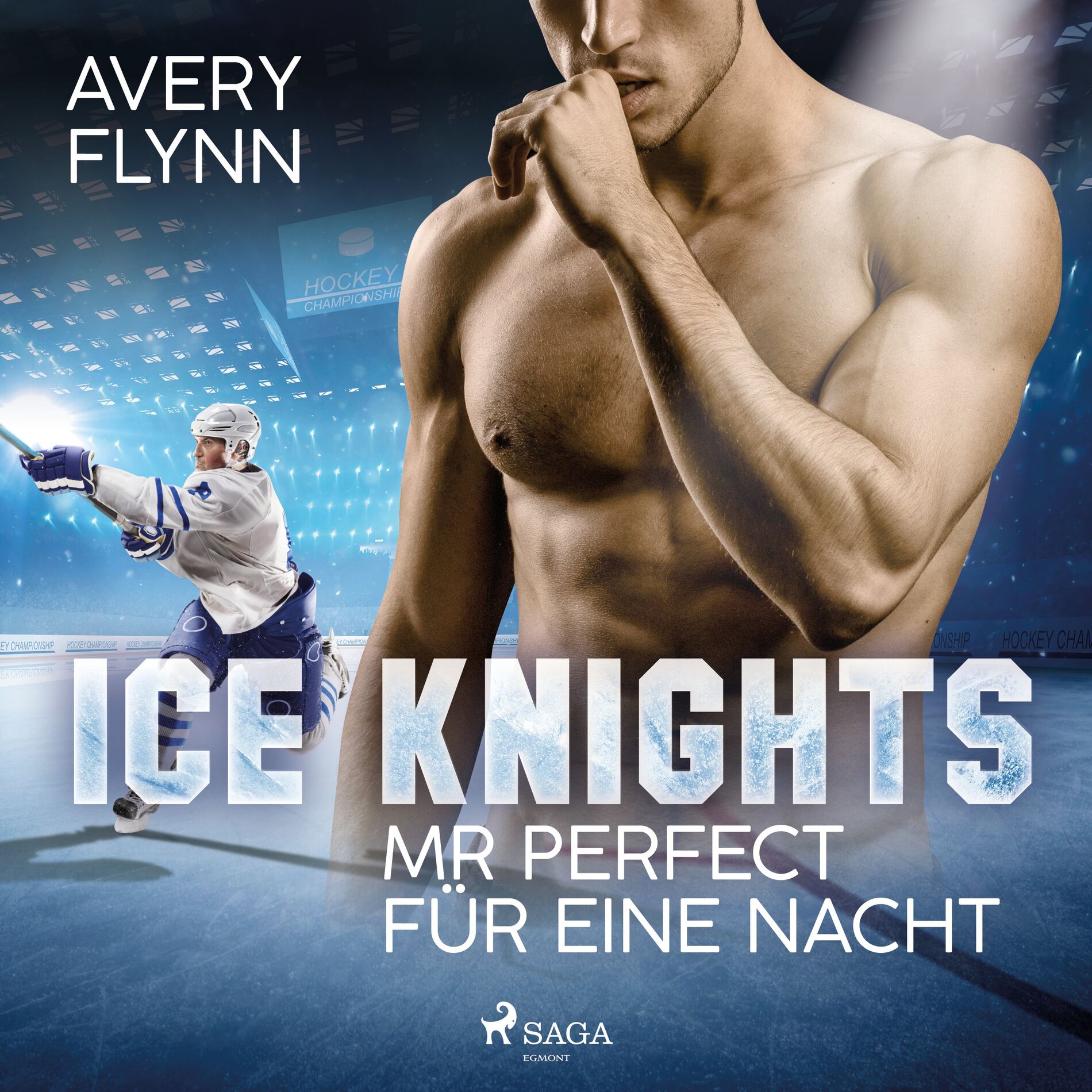 Album cover of Ice Knights - Mr Perfect für eine Nacht
