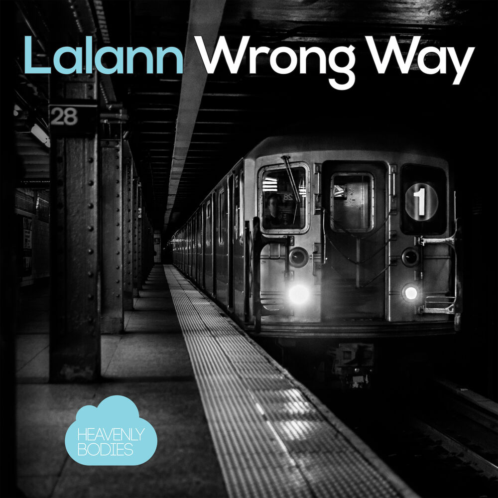 Picture of Wrong Way