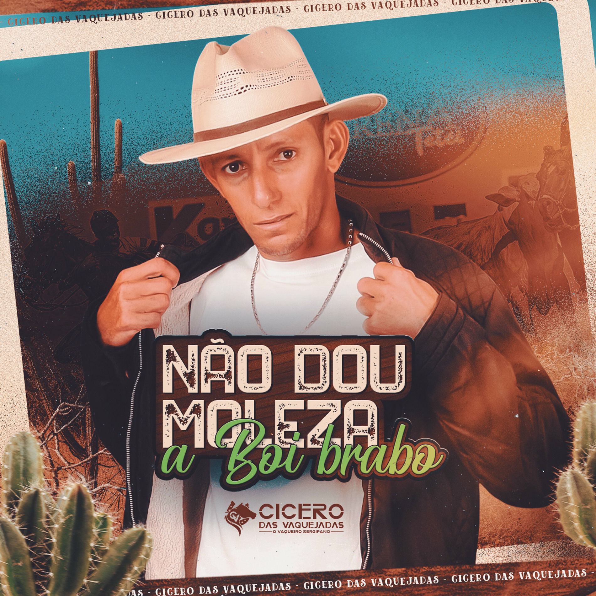 Album cover of Não Dou Moleza a Boi Brabo