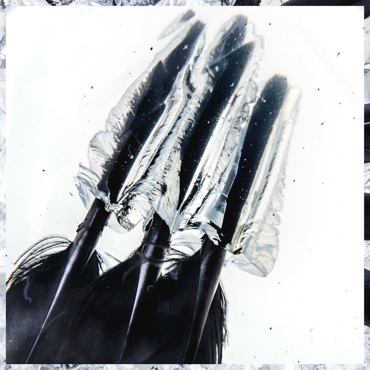Album cover of Icarian