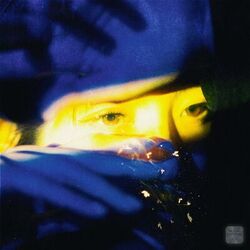 Cover of About our nights