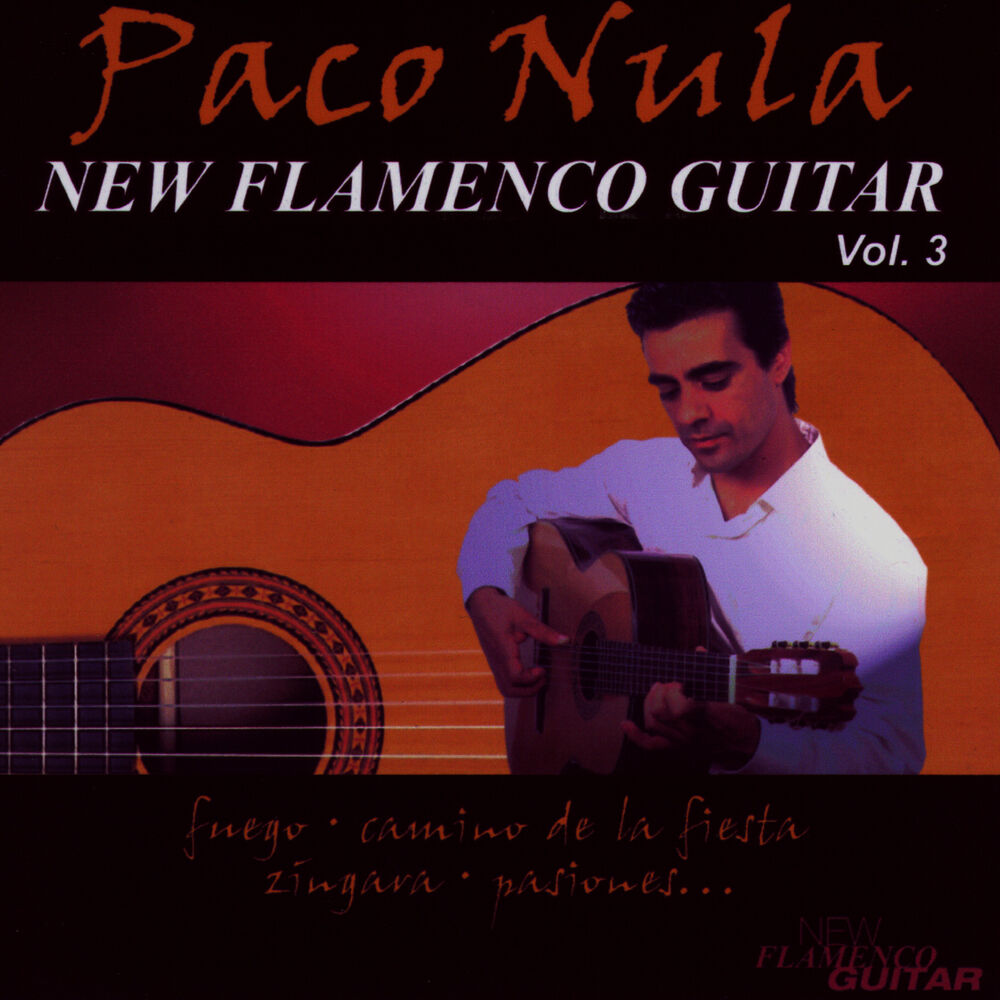 Picture of New Flamenco Guitar 3