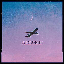 Cover of AIRBORNE