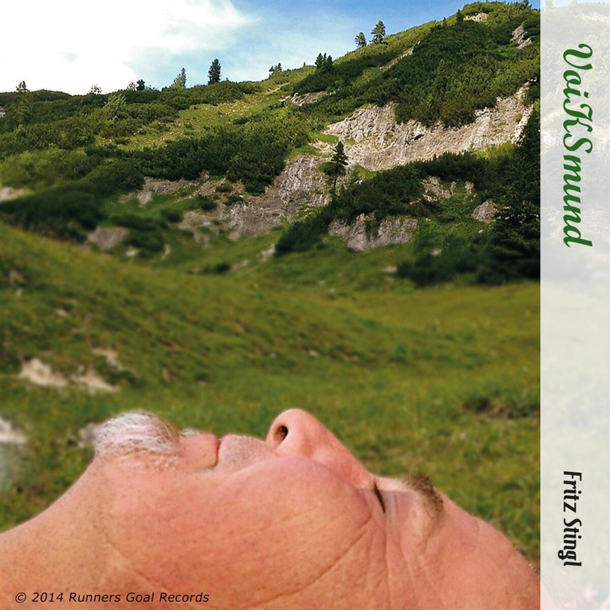 Album cover of VoiKSmund