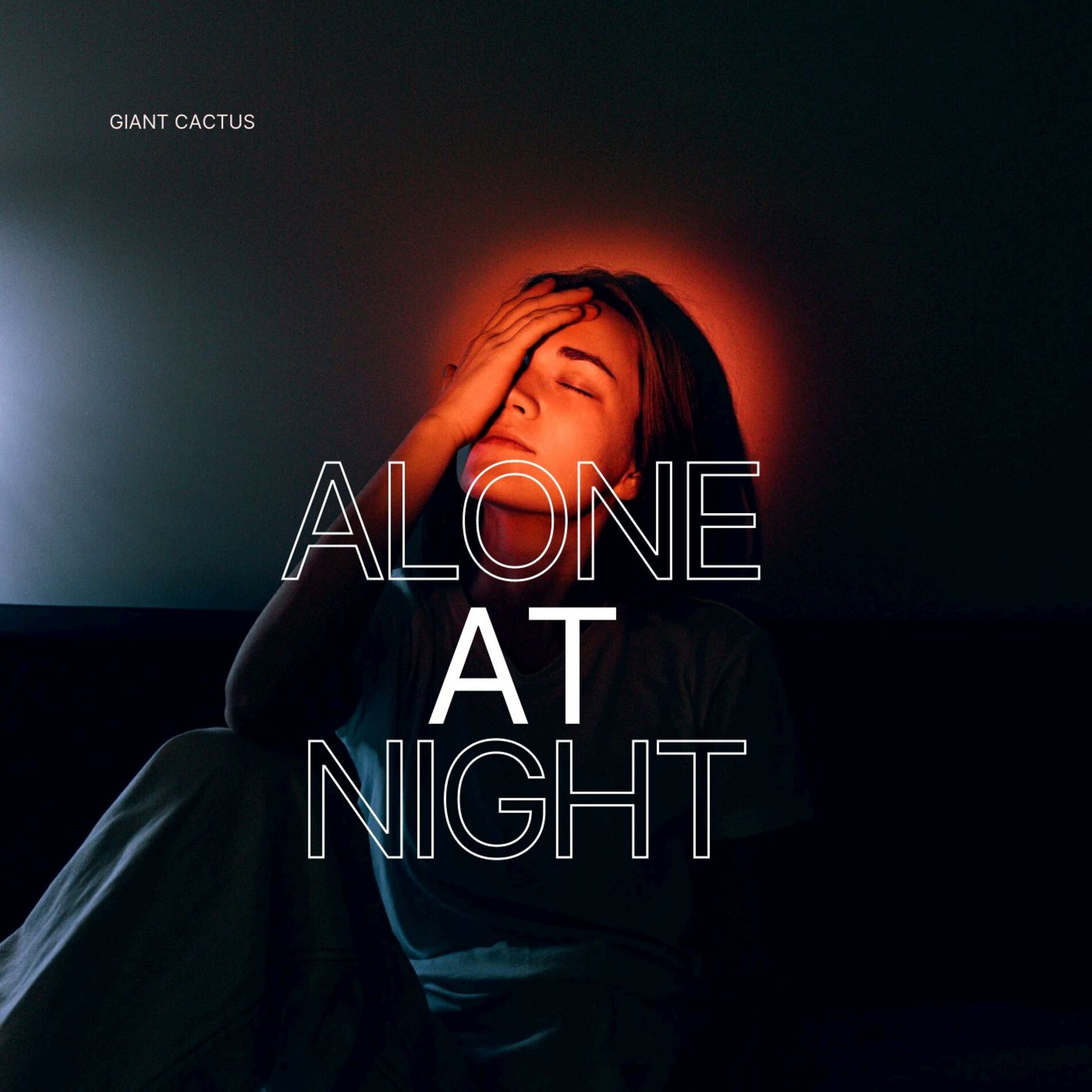 Album cover of alone at night