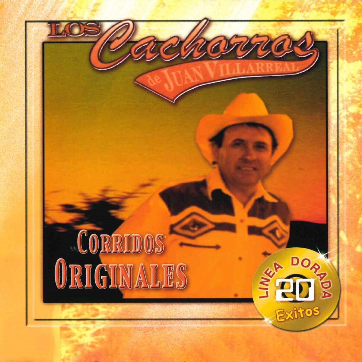 Album cover of 20 Exitos Linea Dorada Corridos Originales