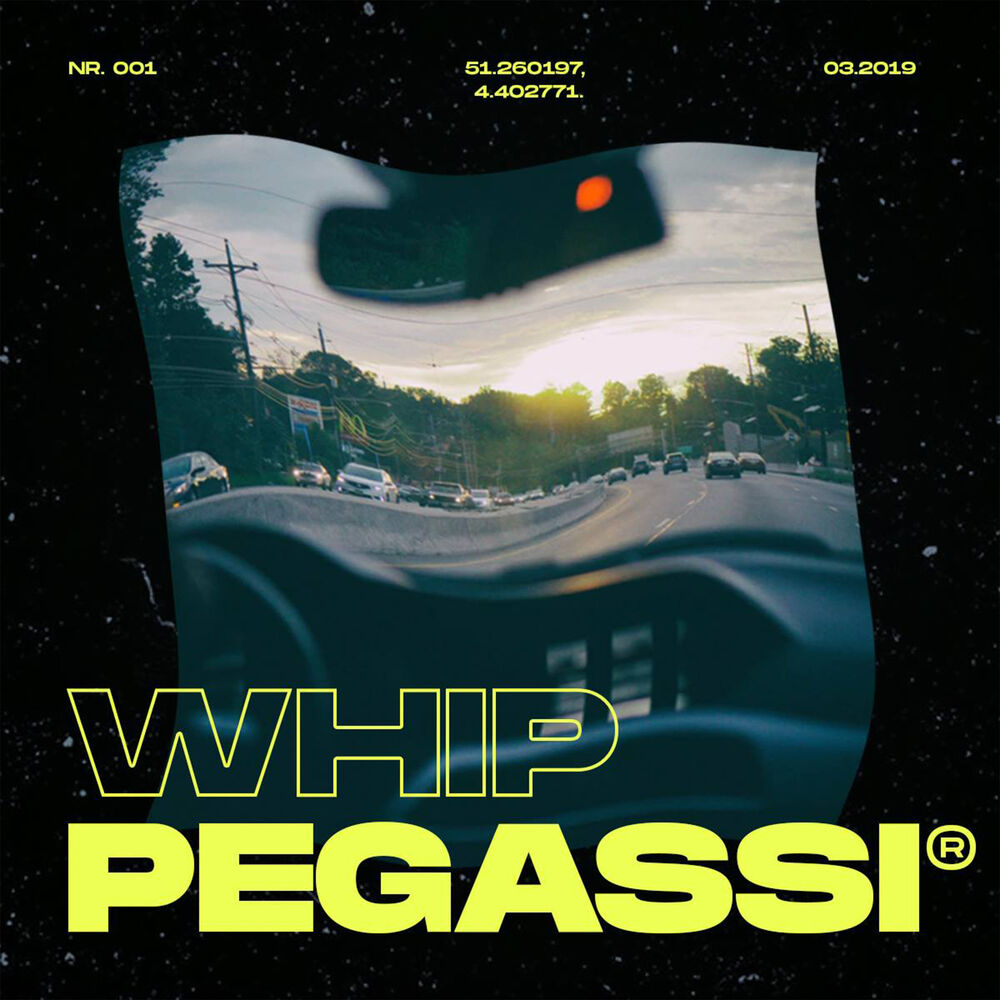 Picture of Whip