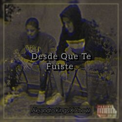 Cover of Desde Que Te Fuiste